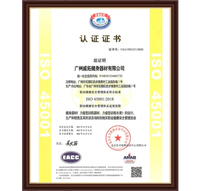 职业健康安全管理体系ISO 45001 2008